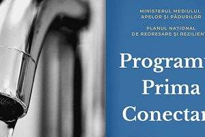 prima conectare