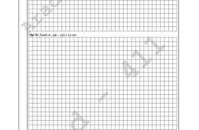 subiecte matematica 6