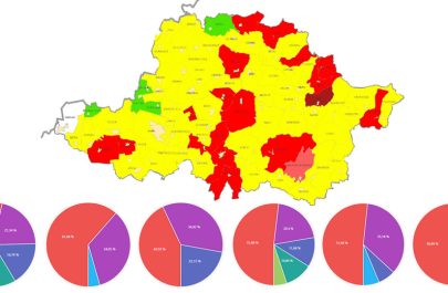Lista-rezultatelor-finale-la-Alegerile-locale-2020-pentru-fiecare-localitate-din-județul-Arad calcule electorale