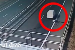 A sărit din mașină pe autostrada Arad-Nădlac