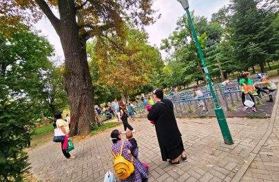 Parcul Copiilor specialisti stejar langa labirint
