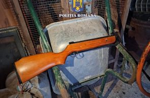 PERCHEZITII LA SEPREUS ARMA