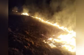 incendiu vegetație uscată noaptea - foto ISU Arad