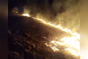 incendiu vegetație uscată noaptea - foto ISU Arad