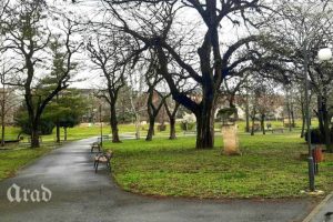 parc malul mureșului arad (2)