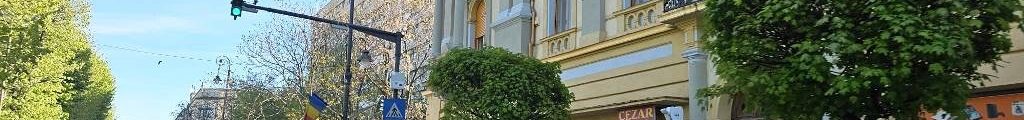 mașini RCA