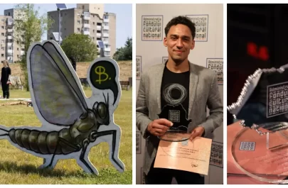 Asociația Citizenit, câștigătoare la Gala Premiilor AFCN cu Festivalul Particles de la Arad
