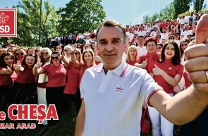 Ilie Cheșa - PSD - Electoral - Publicitate