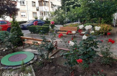 omul sfinteste locul str dr ioan suciu (7)