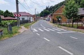 Moneasa