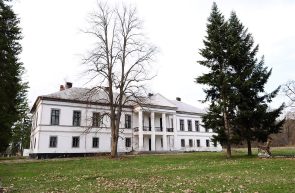 Castelul de la Petriș