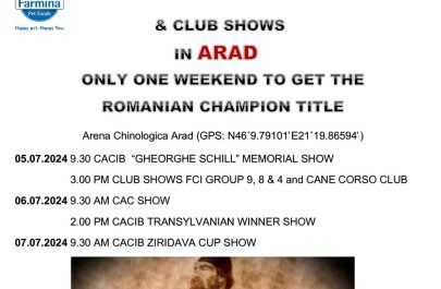 arad dog show 2024 program