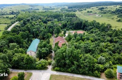 complexul hotelier băile lipova se vinde