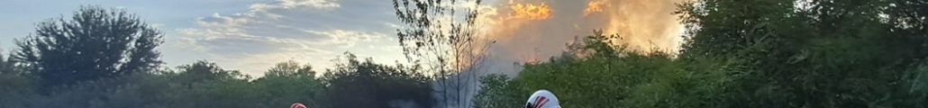 incendiu vegetație