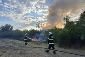 incendiu vegetație