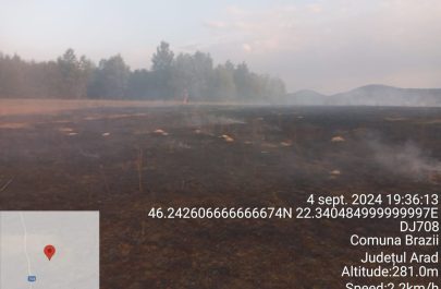 incendiu vegetație uscată
