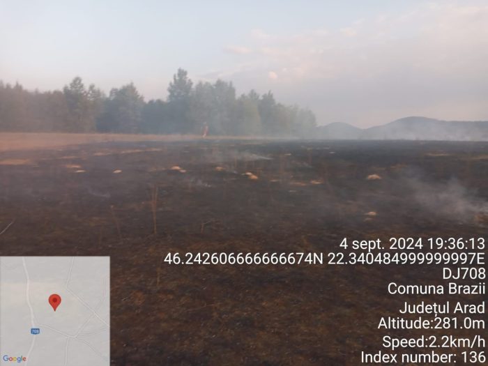 incendiu vegetație uscată