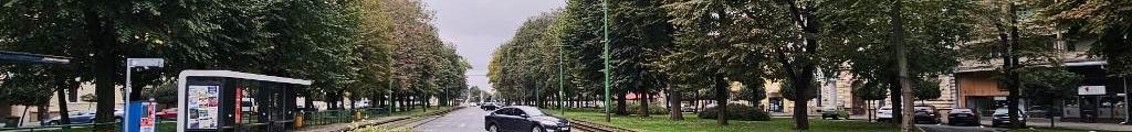 arborii Mediana compromisi
