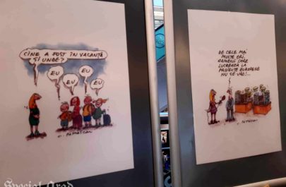 expoziție costel pătrășcan la arad (1)