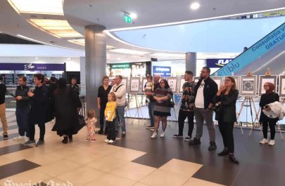 expoziție costel pătrășcan la arad (11)