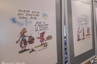expoziție costel pătrășcan la arad (12)