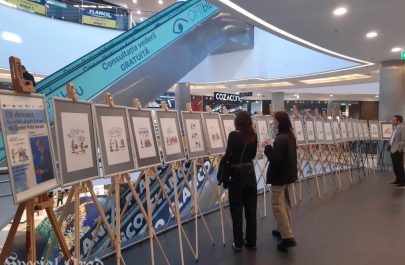 expoziție costel pătrășcan la arad (3)