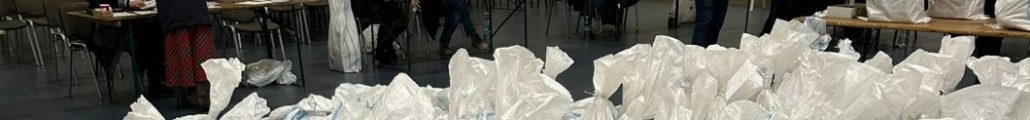 renumărarea voturi arad