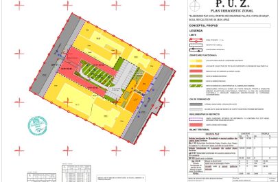 puz concept palatul copiilor
