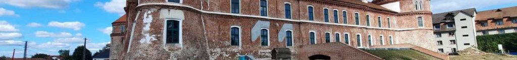Cetatea Ineului