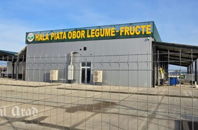 hala agroalimentară obor aproape gata (4)