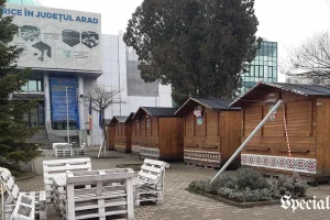 în fața Consiliului Județean