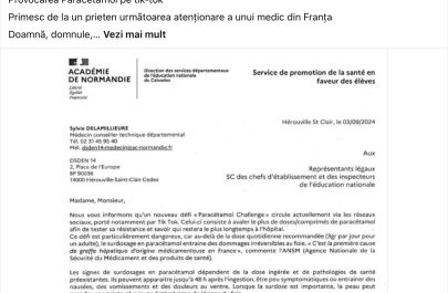 Provocarea Paracetamol