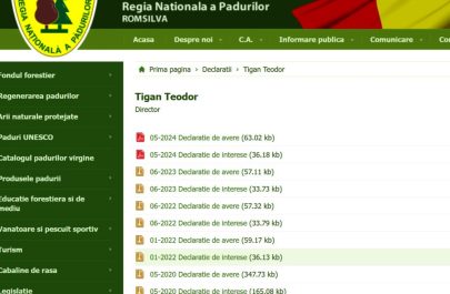 Toeodor Tigan declaratii de avere