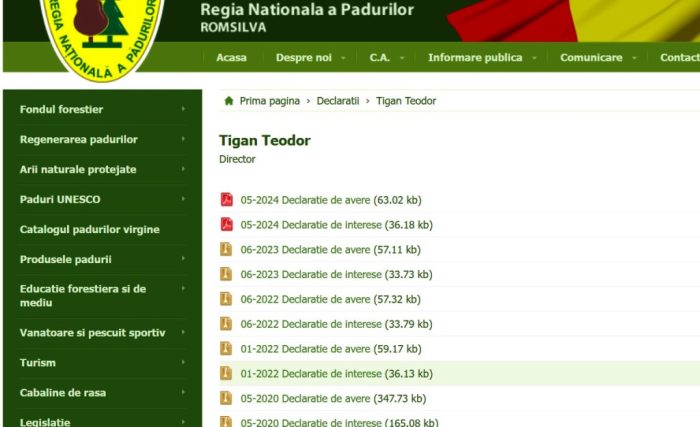 Toeodor Tigan declaratii de avere