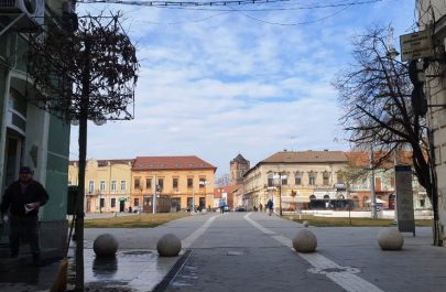 copaci noi metianu 3