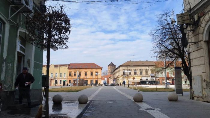 copaci noi metianu 3