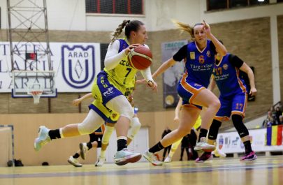 icim targoviste