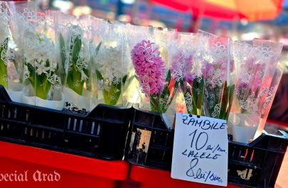 mărțișoare (6)