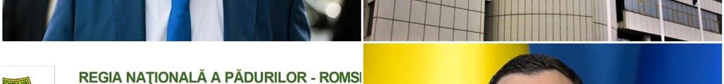 Romsilva