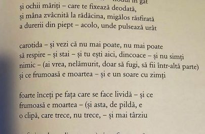 stiri ratate 17 poezii