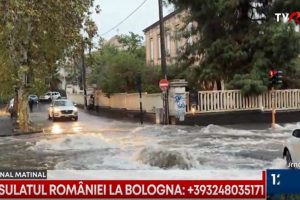 ITALIA TOSCANA COD ROSU