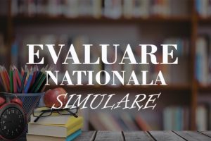 SIMULAREA EVALUARII NATIONALE 2025
