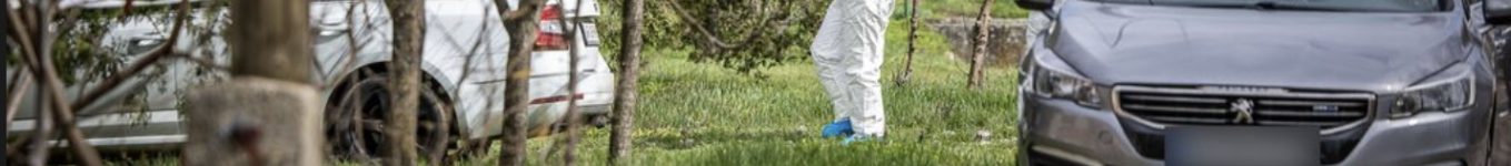 crimă BATANIA - Daniela Durlă, arădeancă ucisă în Ungaria