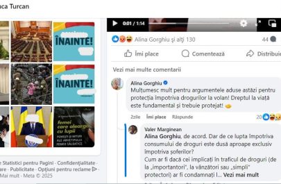 Toleranță zero Alina Gorghiu
