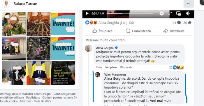 toleranță zero Alina Gorghiu