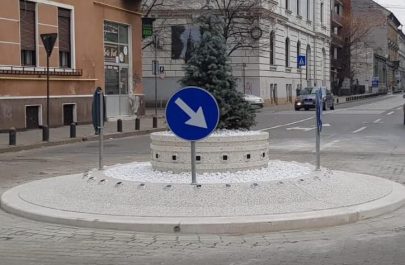 adopția sensul lui Falca