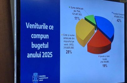 diagramă buget 2025