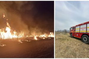 incendii pășune județul Arad