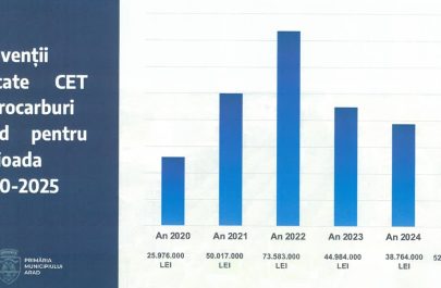 subvenții cet buget 2025
