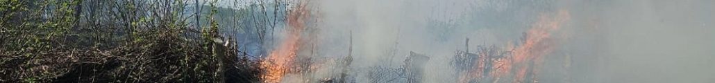 incendiu vegetație